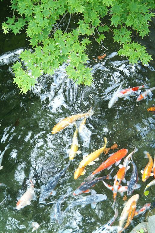 Kaikake Onsen Hotel Yuzawa  Bagian luar foto